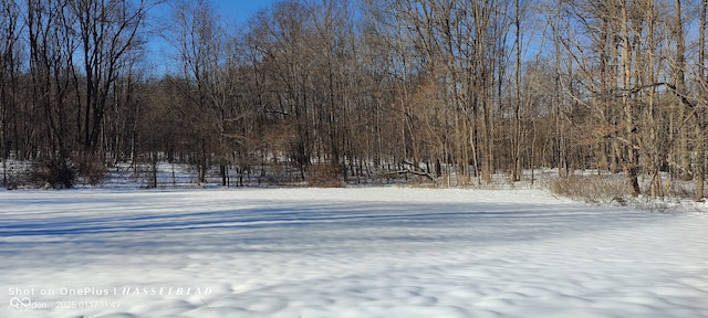 view of snowy yard