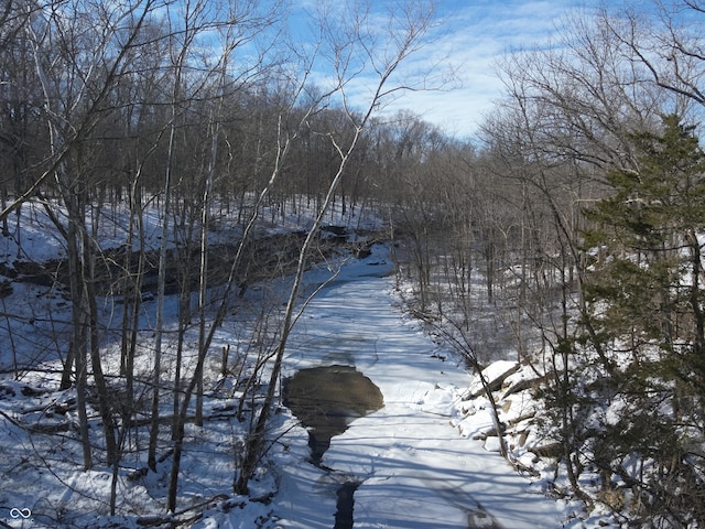 view of water feature