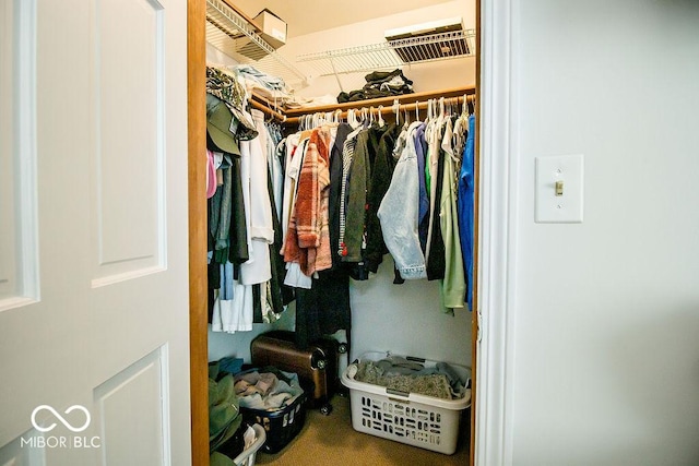 walk in closet with carpet flooring