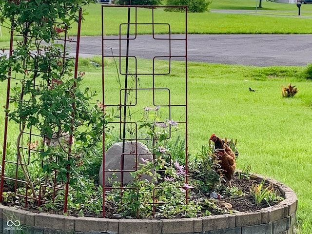 surrounding community with a lawn