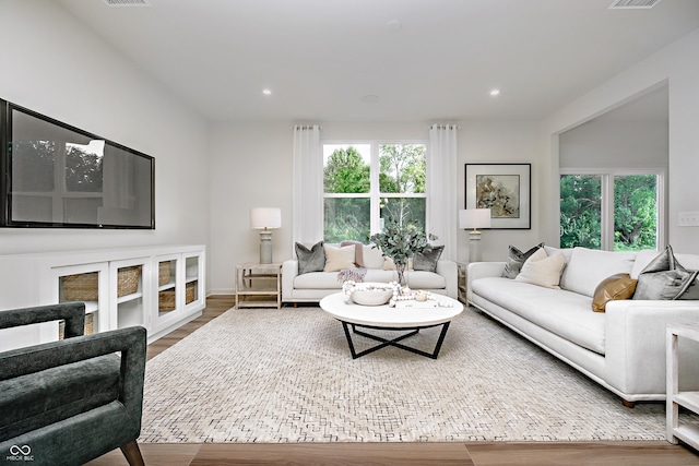 living room featuring hardwood / wood-style floors