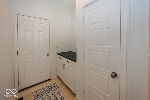 interior space featuring white cabinetry and light hardwood / wood-style floors