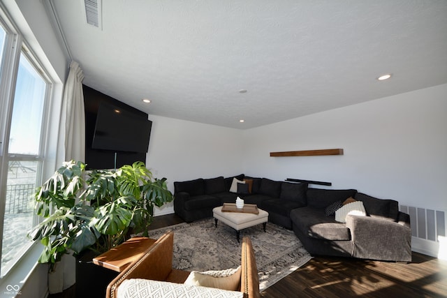 living room featuring hardwood / wood-style floors