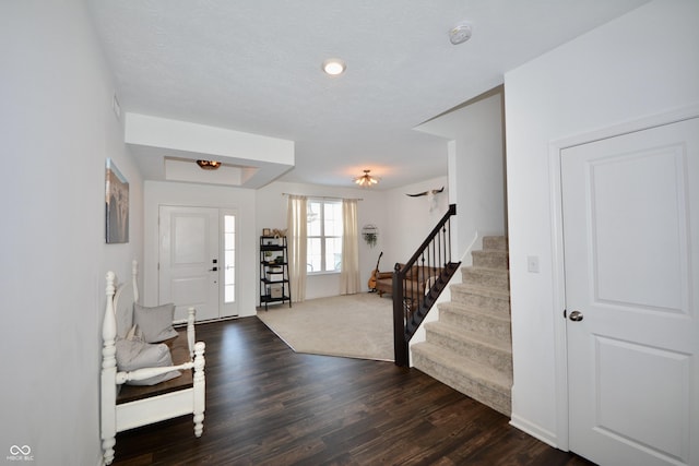 entryway featuring dark wood-type flooring