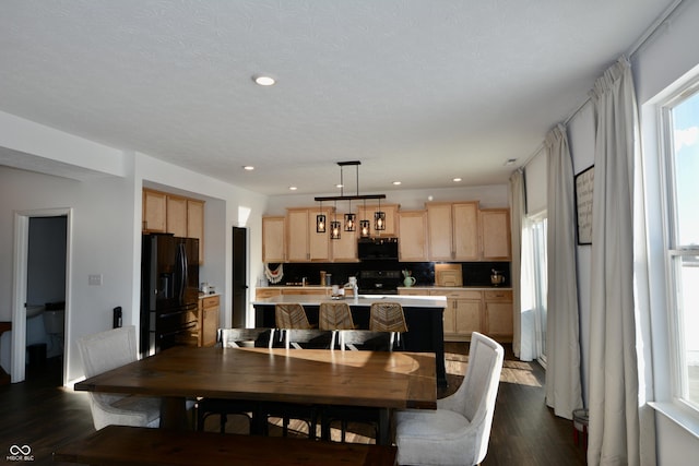 dining area featuring sink and dark hardwood / wood-style floors