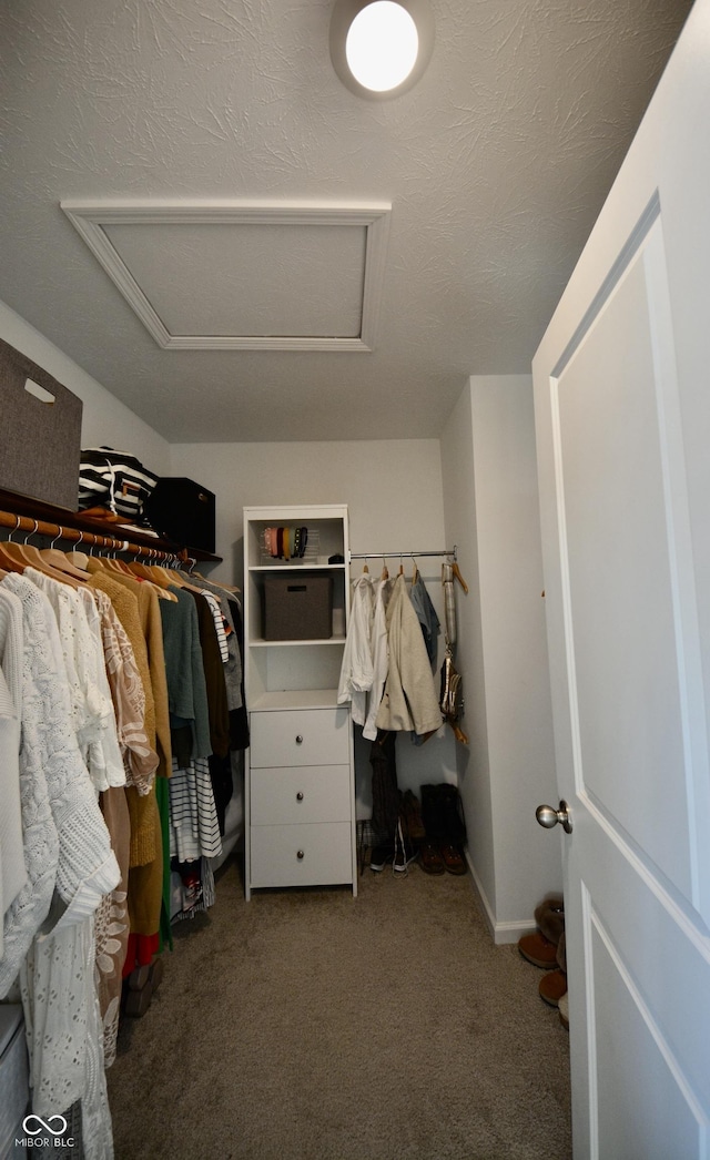 spacious closet with carpet floors