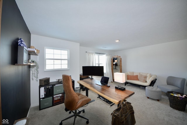 office featuring carpet floors