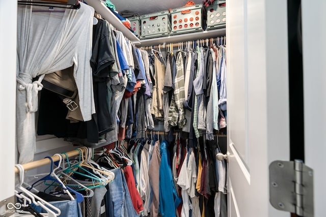 view of walk in closet