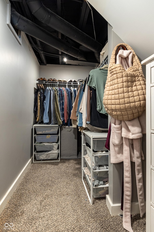 spacious closet with carpet flooring