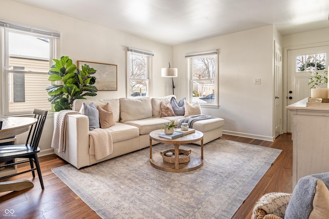 living room featuring dark hardwood / wood-style flooring and plenty of natural light