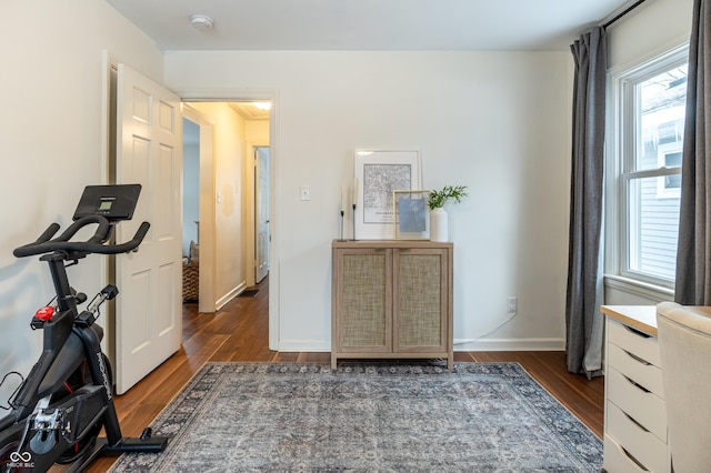 interior space with plenty of natural light and dark hardwood / wood-style floors