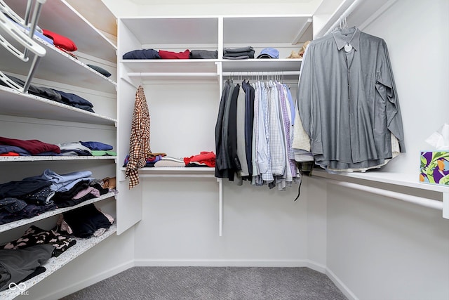 spacious closet featuring carpet