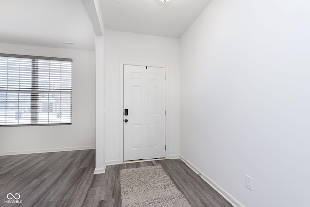 entryway featuring dark wood-type flooring