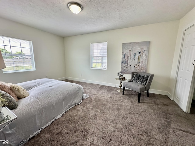 bedroom featuring carpet floors and a textured ceiling