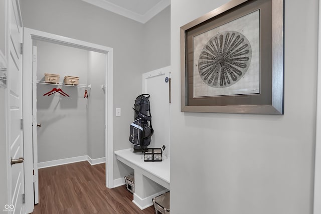 mudroom with dark wood-type flooring and ornamental molding