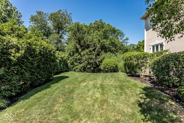 8526 Oakmont Ln, Indianapolis, IN 46260 - view of yard