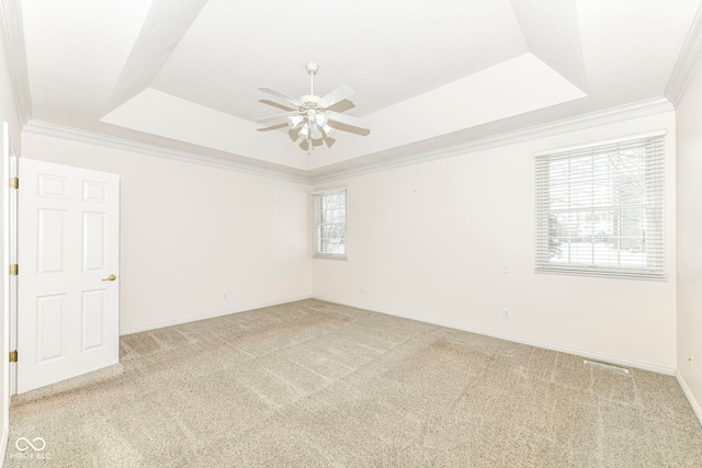 spare room featuring light colored carpet, plenty of natural light, and a tray ceiling