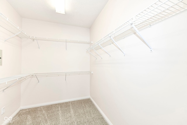 walk in closet with carpet and electric panel