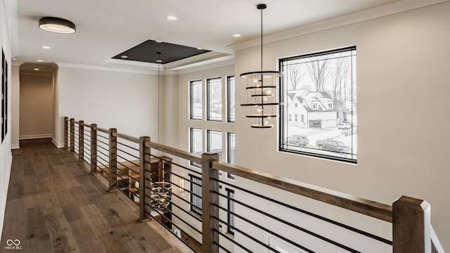 hallway with a chandelier, dark hardwood / wood-style floors, a tray ceiling, and ornamental molding