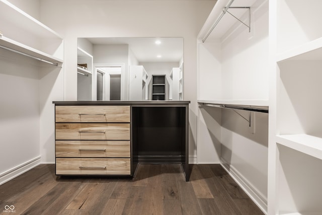 spacious closet featuring dark wood-type flooring