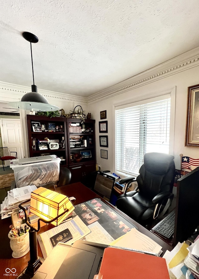 office space with crown molding and a textured ceiling