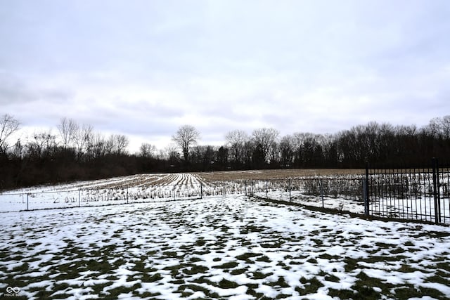 view of yard covered in snow