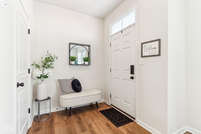 entryway featuring hardwood / wood-style flooring