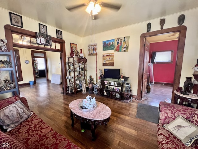 living room with ceiling fan and dark hardwood / wood-style flooring