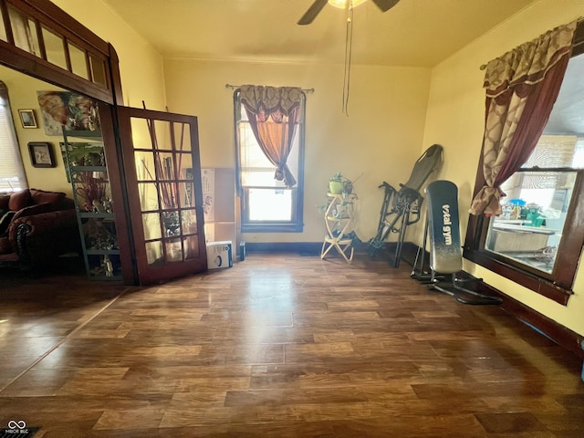 exercise area featuring ceiling fan and dark hardwood / wood-style floors