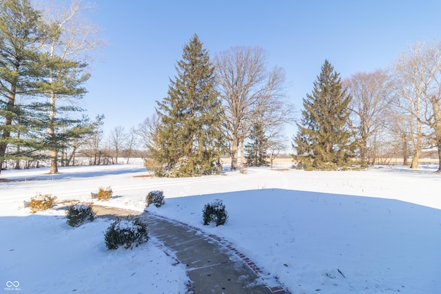 view of yard layered in snow