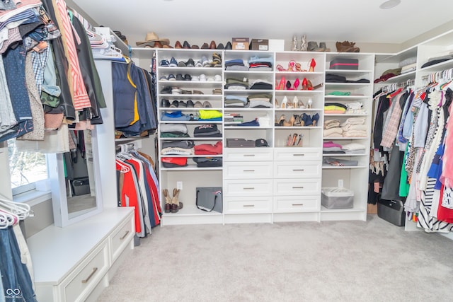 walk in closet with light carpet