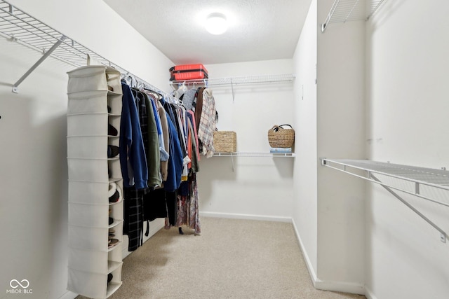 spacious closet with carpet floors