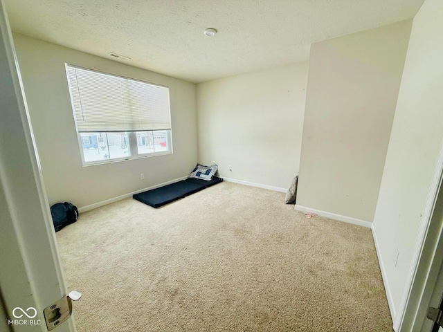 exercise room with a textured ceiling and light colored carpet