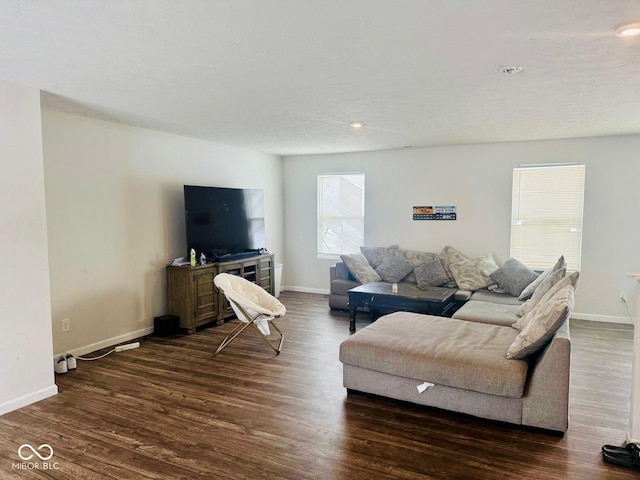 living room with dark hardwood / wood-style floors