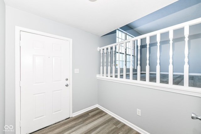 entryway featuring wood-type flooring