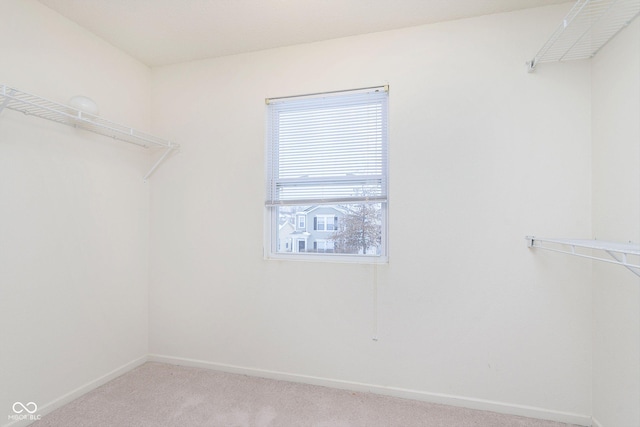 spacious closet with light colored carpet