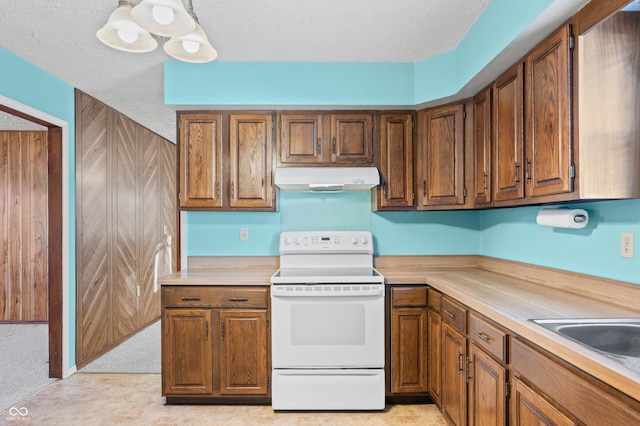 kitchen featuring wood walls, electric stove, light carpet, and sink