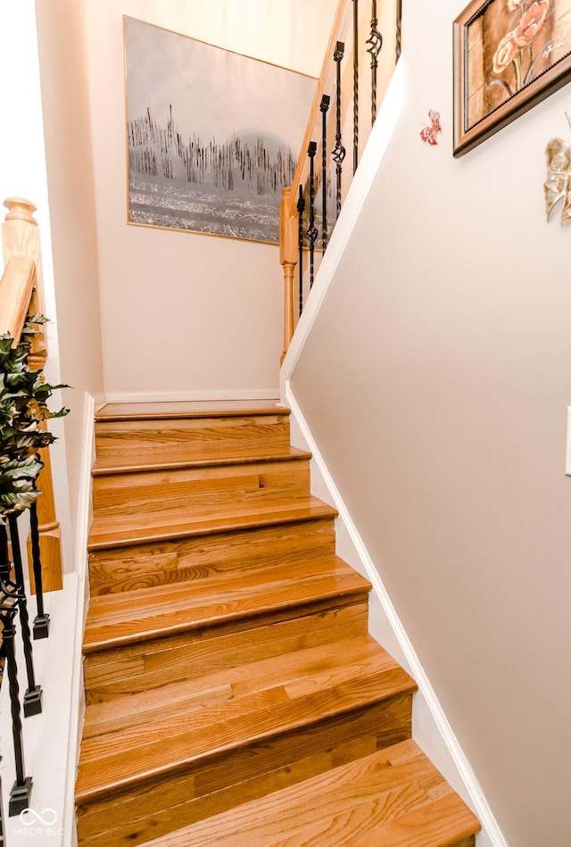 staircase with wood-type flooring