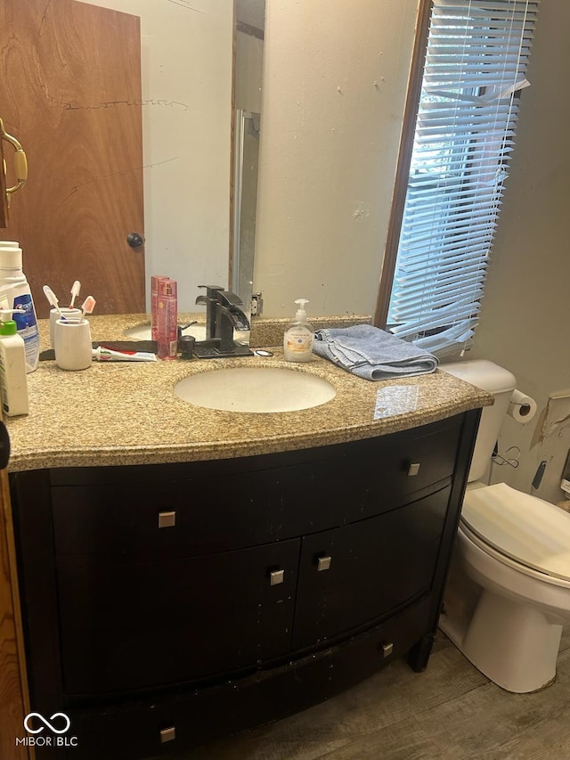 bathroom with vanity, wood-type flooring, and toilet