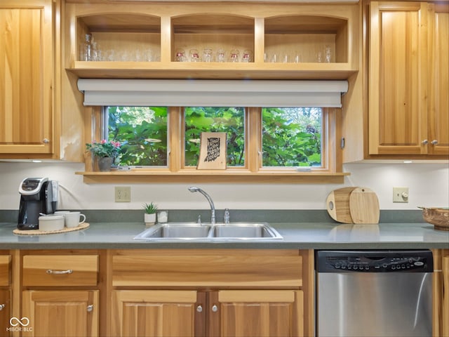 kitchen with sink and dishwasher