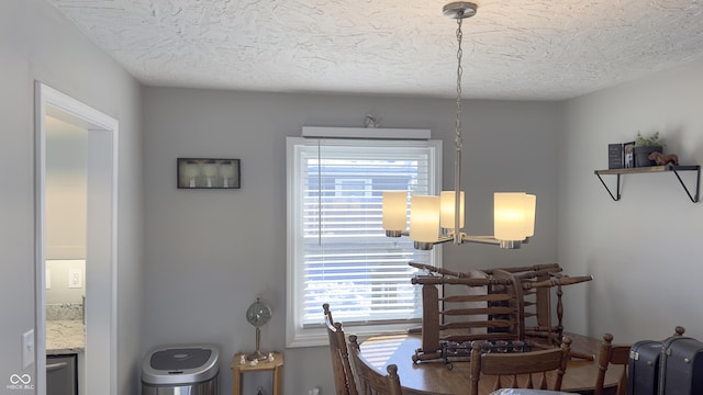 dining space with a textured ceiling and a healthy amount of sunlight