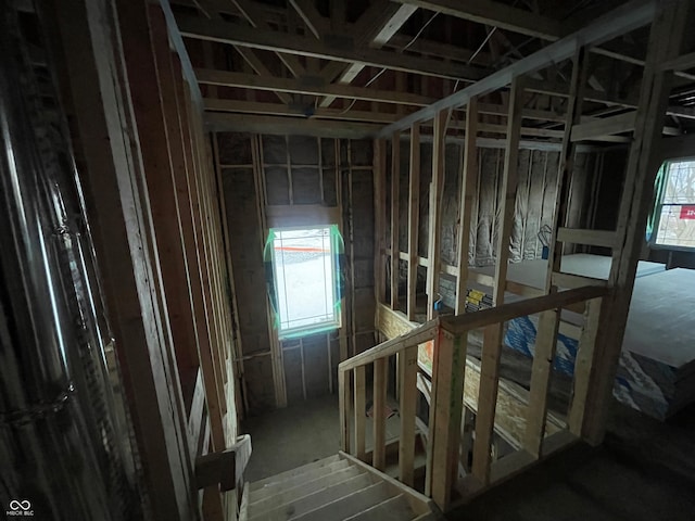 miscellaneous room featuring a wealth of natural light