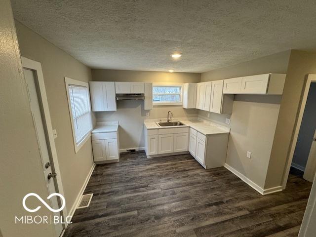 kitchen featuring a textured ceiling, dark hardwood / wood-style floors, white cabinets, and sink