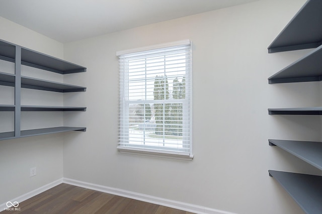 walk in closet with dark hardwood / wood-style floors