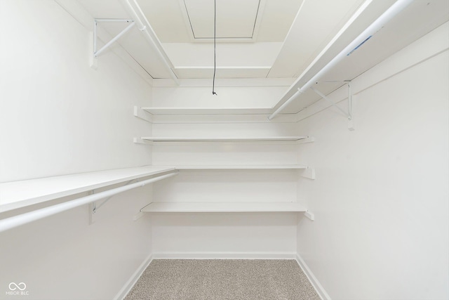 spacious closet with carpet flooring