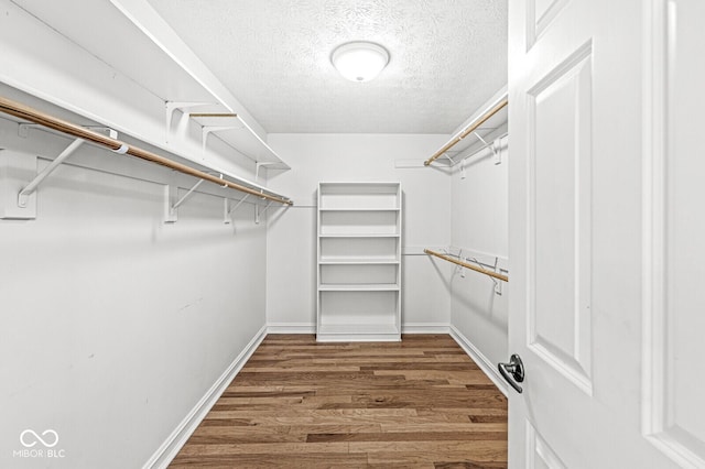 spacious closet featuring dark hardwood / wood-style floors