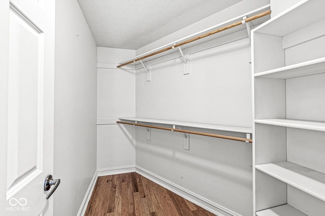 walk in closet featuring hardwood / wood-style floors