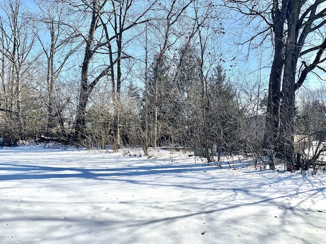 view of snowy yard