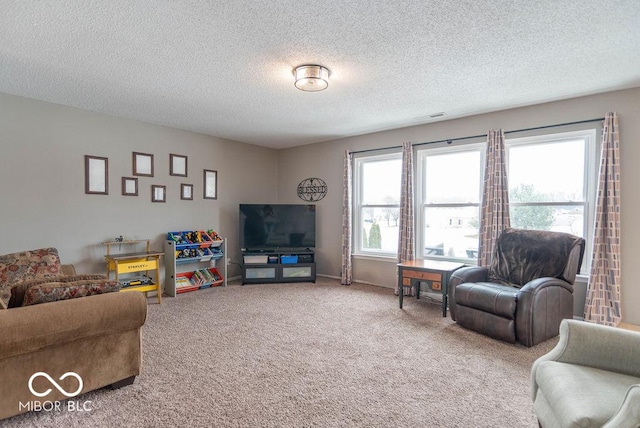 living room featuring carpet floors and a textured ceiling