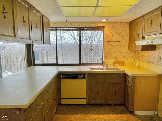 kitchen featuring sink, dishwashing machine, and kitchen peninsula